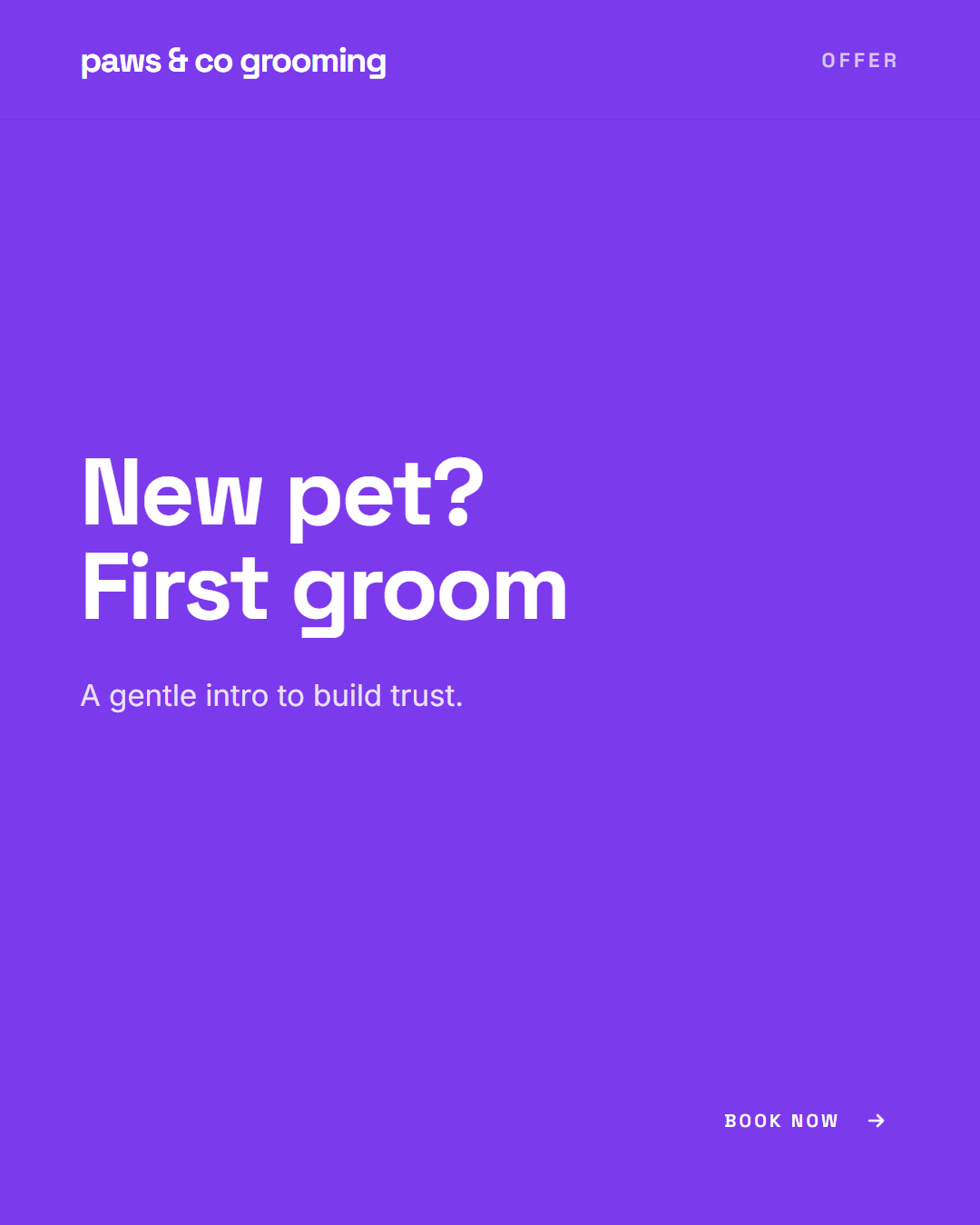 Generated example post: Book grooming before the coat matts, not after. A regular trim is kinder - and cheaper - than a de-matt.